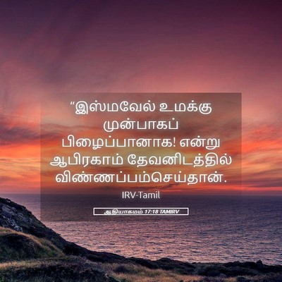 Picture 05 - ஆதியாகமம் 17:18 TAMIRV - “இஸ்மவேல் உமக்கு - Bible Verse Picture