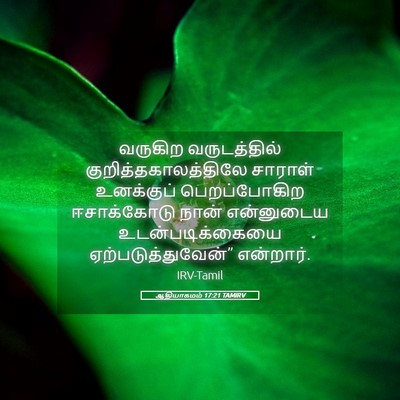 Picture 05 - ஆதியாகமம் 17:21 TAMIRV - வருகிற வருடத்தில் - Bible Verse Picture