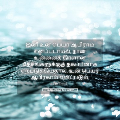 Picture 05 - ஆதியாகமம் 17:5 TAMIRV - இனி உன் பெயர் - Bible Verse Picture