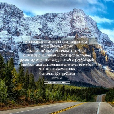 Picture 05 - ஆதியாகமம் 17:7 TAMIRV - உனக்கும் உனக்குப் - Bible Verse Picture