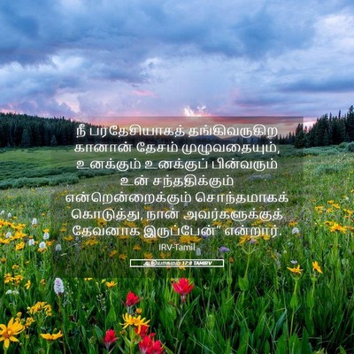 Picture 05 - ஆதியாகமம் 17:8 TAMIRV - நீ பரதேசியாகத் - Bible Verse Picture
