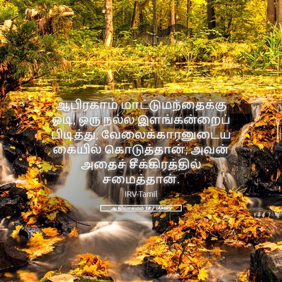 Picture 05 - ஆதியாகமம் 18:7 TAMIRV - ஆபிரகாம் - Bible Verse Picture