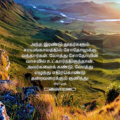 Picture 05 - ஆதியாகமம் 19:1 TAMIRV - அந்த இரண்டு - Bible Verse Picture