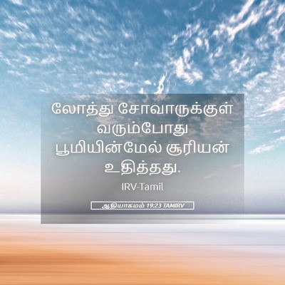 Picture 05 - ஆதியாகமம் 19:23 TAMIRV - லோத்து - Bible Verse Picture