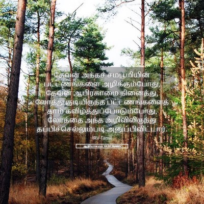 Picture 05 - ஆதியாகமம் 19:29 TAMIRV - தேவன் அந்தச் - Bible Verse Picture