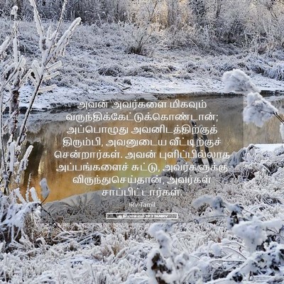 Picture 05 - ஆதியாகமம் 19:3 TAMIRV - அவன் அவர்களை - Bible Verse Picture