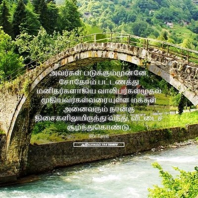 Picture 05 - ஆதியாகமம் 19:4 TAMIRV - அவர்கள் - Bible Verse Picture