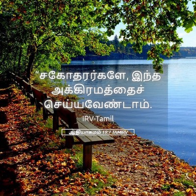 Picture 05 - ஆதியாகமம் 19:7 TAMIRV - “சகோதரர்களே, இந்த - Bible Verse Picture