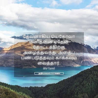 Picture 05 - ஆதியாகமம் 2:15 TAMIRV - தேவனாகிய யெகோவா - Bible Verse Picture