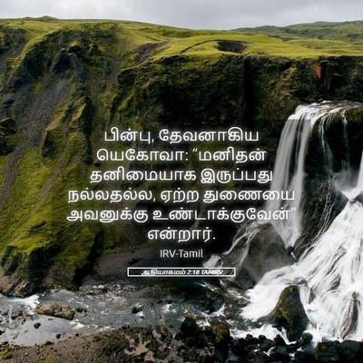 Picture 05 - ஆதியாகமம் 2:18 TAMIRV - பின்பு, தேவனாகிய - Bible Verse Picture