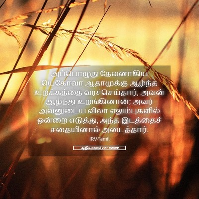 Picture 05 - ஆதியாகமம் 2:21 TAMIRV - அப்பொழுது - Bible Verse Picture