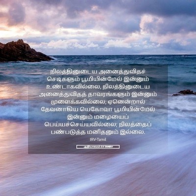 Picture 05 - ஆதியாகமம் 2:5 TAMIRV - நிலத்தினுடைய - Bible Verse Picture
