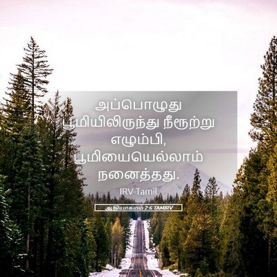 Picture 05 - ஆதியாகமம் 2:6 TAMIRV - அப்பொழுது - Bible Verse Picture