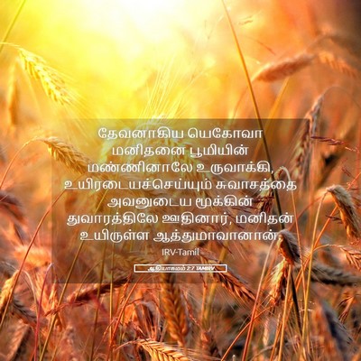 Picture 05 - ஆதியாகமம் 2:7 TAMIRV - தேவனாகிய யெகோவா - Bible Verse Picture