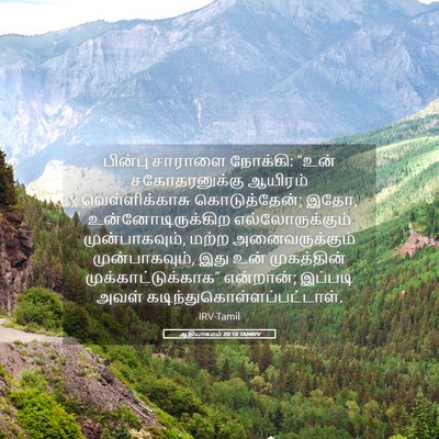 Picture 05 - ஆதியாகமம் 20:16 TAMIRV - பின்பு சாராளை - Bible Verse Picture