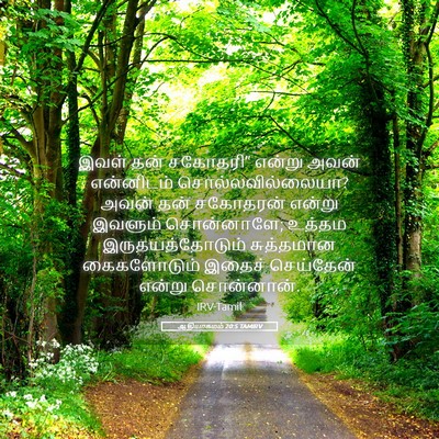 Picture 05 - ஆதியாகமம் 20:5 TAMIRV - இவள் தன் சகோதரி” - Bible Verse Picture