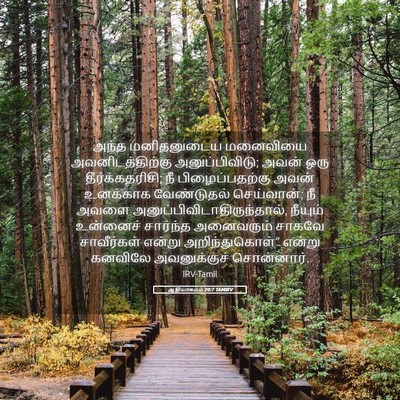 Picture 05 - ஆதியாகமம் 20:7 TAMIRV - அந்த மனிதனுடைய - Bible Verse Picture