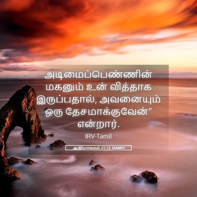 Picture 05 - ஆதியாகமம் 21:13 TAMIRV - அடிமைப்பெண்ணின் - Bible Verse Picture