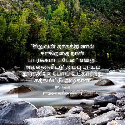 Picture 05 - ஆதியாகமம் 21:16 TAMIRV - “சிறுவன் - Bible Verse Picture