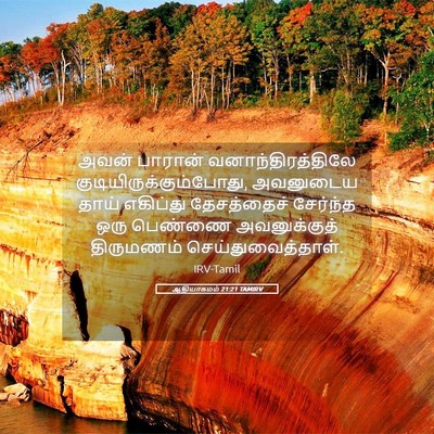 Picture 05 - ஆதியாகமம் 21:21 TAMIRV - அவன் பாரான் - Bible Verse Picture