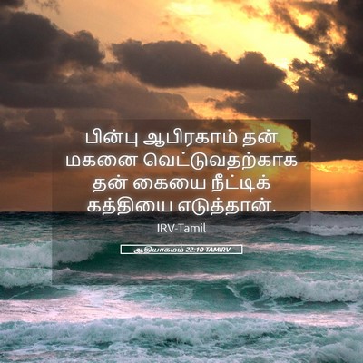 Picture 05 - ஆதியாகமம் 22:10 TAMIRV - பின்பு ஆபிரகாம் - Bible Verse Picture