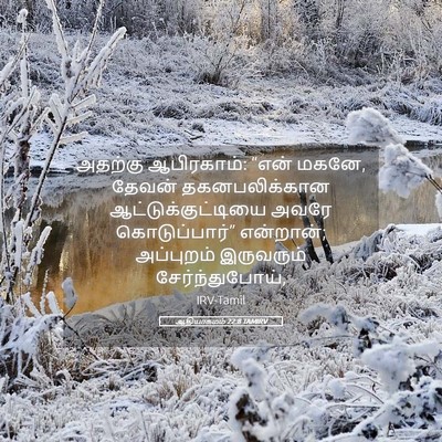 Picture 05 - ஆதியாகமம் 22:8 TAMIRV - அதற்கு ஆபிரகாம்: - Bible Verse Picture