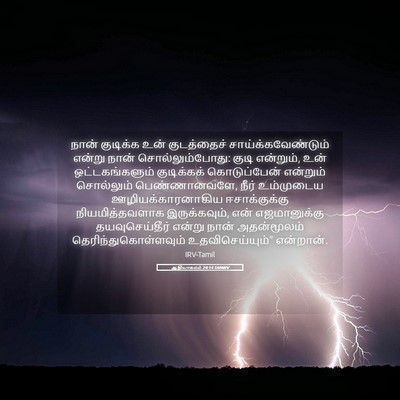 Picture 05 - ஆதியாகமம் 24:14 TAMIRV - நான் குடிக்க உன் - Bible Verse Picture