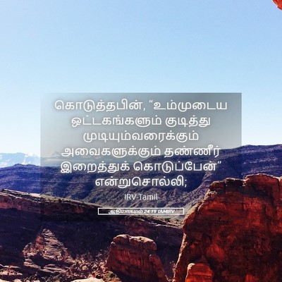 Picture 05 - ஆதியாகமம் 24:19 TAMIRV - கொடுத்தபின், - Bible Verse Picture