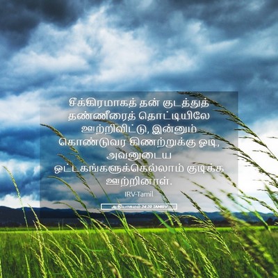 Picture 05 - ஆதியாகமம் 24:20 TAMIRV - சீக்கிரமாகத் தன் - Bible Verse Picture