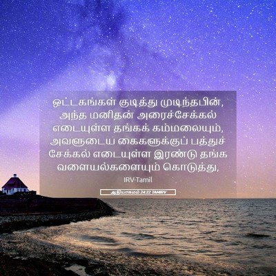 Picture 05 - ஆதியாகமம் 24:22 TAMIRV - ஒட்டகங்கள் - Bible Verse Picture