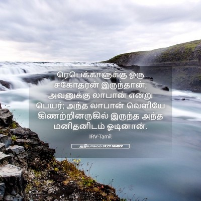 Picture 05 - ஆதியாகமம் 24:29 TAMIRV - ரெபெக்காளுக்கு - Bible Verse Picture