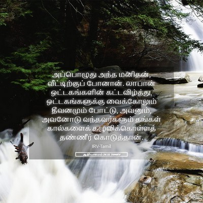 Picture 05 - ஆதியாகமம் 24:32 TAMIRV - அப்பொழுது அந்த - Bible Verse Picture