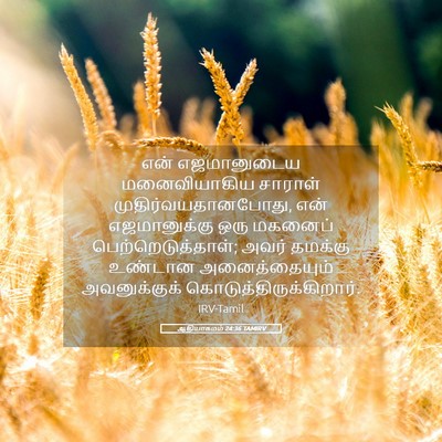 Picture 05 - ஆதியாகமம் 24:36 TAMIRV - என் எஜமானுடைய - Bible Verse Picture