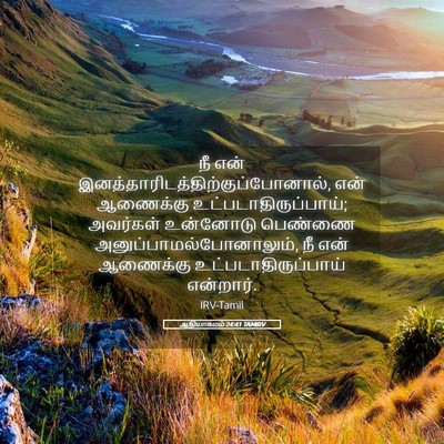 Picture 05 - ஆதியாகமம் 24:41 TAMIRV - நீ என் - Bible Verse Picture