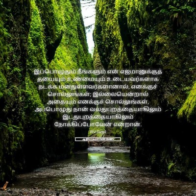 Picture 05 - ஆதியாகமம் 24:49 TAMIRV - இப்பொழுதும் - Bible Verse Picture