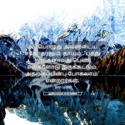 Picture 05 - ஆதியாகமம் 24:55 TAMIRV - அப்பொழுது அவளுடைய - Bible Verse Picture