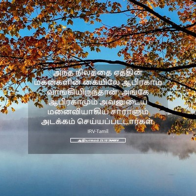 Picture 05 - ஆதியாகமம் 25:10 TAMIRV - அந்த நிலத்தை - Bible Verse Picture