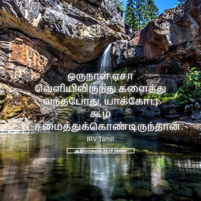 Picture 05 - ஆதியாகமம் 25:29 TAMIRV - ஒருநாள் ஏசா - Bible Verse Picture