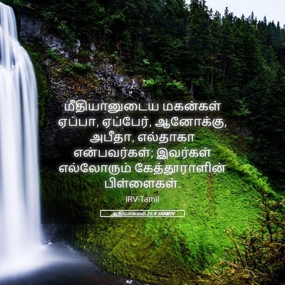 Picture 05 - ஆதியாகமம் 25:4 TAMIRV - மீதியானுடைய - Bible Verse Picture