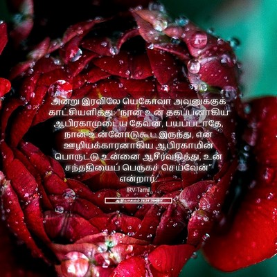 Picture 05 - ஆதியாகமம் 26:24 TAMIRV - அன்று இரவிலே - Bible Verse Picture