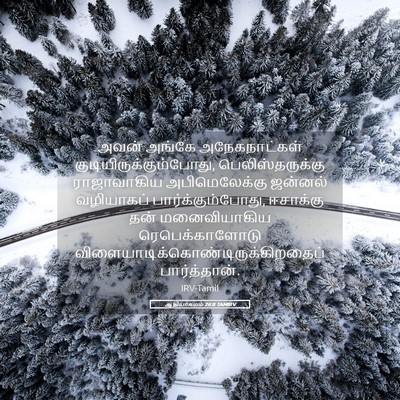 Picture 05 - ஆதியாகமம் 26:8 TAMIRV - அவன் அங்கே - Bible Verse Picture