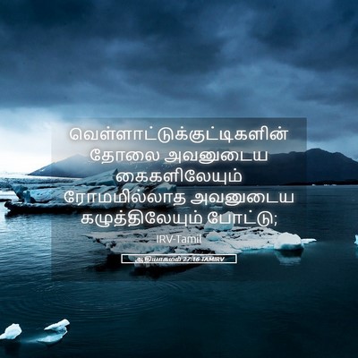Picture 05 - ஆதியாகமம் 27:16 TAMIRV -  - Bible Verse Picture