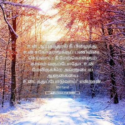 Picture 05 - ஆதியாகமம் 27:40 TAMIRV - உன் ஆயுதத்தால் நீ - Bible Verse Picture