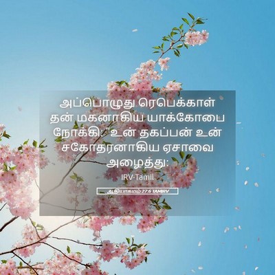 Picture 05 - ஆதியாகமம் 27:6 TAMIRV - அப்பொழுது - Bible Verse Picture