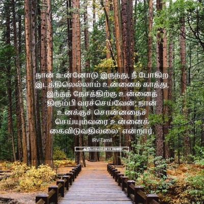 Picture 05 - ஆதியாகமம் 28:15 TAMIRV - நான் உன்னோடு - Bible Verse Picture