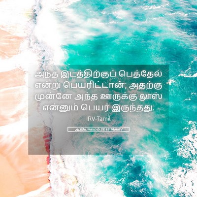 Picture 05 - ஆதியாகமம் 28:19 TAMIRV - அந்த இடத்திற்குப் - Bible Verse Picture