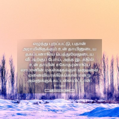 Picture 05 - ஆதியாகமம் 28:2 TAMIRV - எழுந்து - Bible Verse Picture