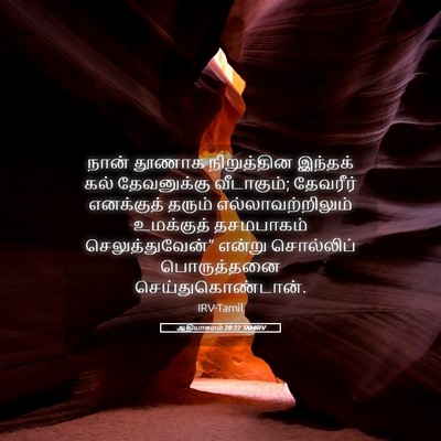 Picture 05 - ஆதியாகமம் 28:22 TAMIRV - நான் தூணாக - Bible Verse Picture
