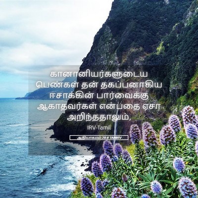 Picture 05 - ஆதியாகமம் 28:8 TAMIRV - கானானியர்களுடைய - Bible Verse Picture