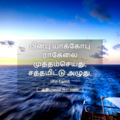 Picture 05 - ஆதியாகமம் 29:11 TAMIRV - பின்பு யாக்கோபு - Bible Verse Picture